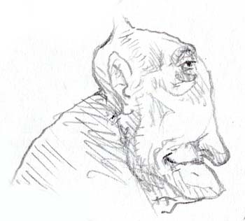 ika_s024