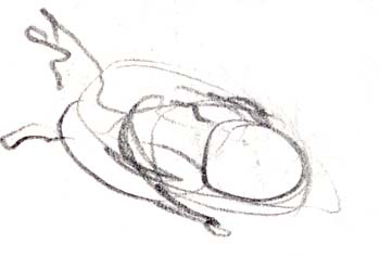 ika_s097